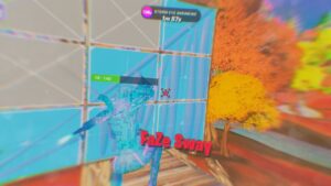 No Hoodie ❌ | Fortnite Highlights #23 | Till