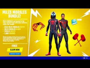 FREE BUNDLE for EVERYONE in Fortnite UPDATE!