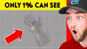 World's *CRAZIEST* MIND TRICKS! (Optical Illusions)