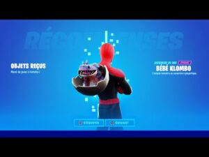 sac à dos BÉBÉ KLOMBO sur fortnite !! (il est magnifique)