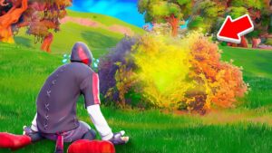 ich habe etwas im Busch gefunden... (Traurig)