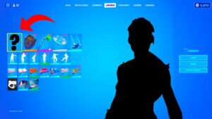 Only 0.01% of Fortnite Players Have This..