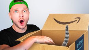 Ces CHOSES ne DEVRAIENT PAS ETRE VENDU sur AMAZON !