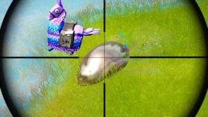 Fortnite WTF Moments #642