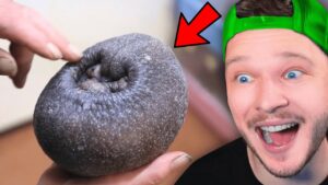 Le Meilleur d'internet 2022 !