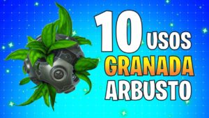 10 usos de la GRANADA ARBUSTO