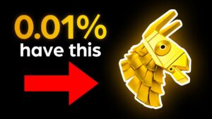 I Got Fortnite's Rarest Item