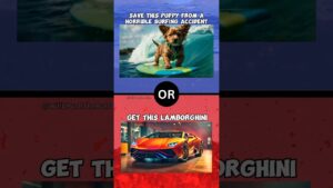 😳Only 41% chose that? #quiz #game #viral #memes #fortnite #memesdaily #gaming #dog #doglover #puppy