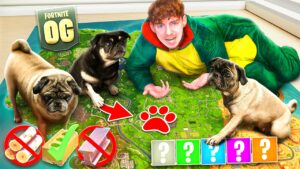 Meine HUNDE entscheiden ALLES in OG FORTNITE! 😱🔥